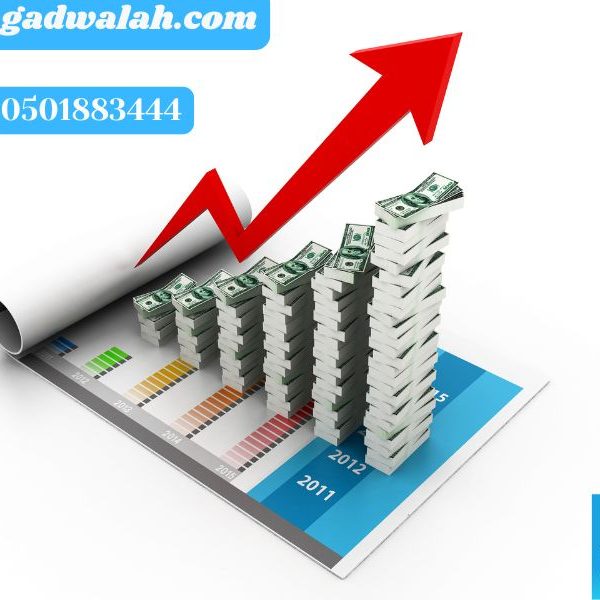 التدقيق الداخلي للقوائم المالية 2025