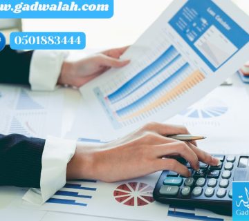 الرقابة المالية