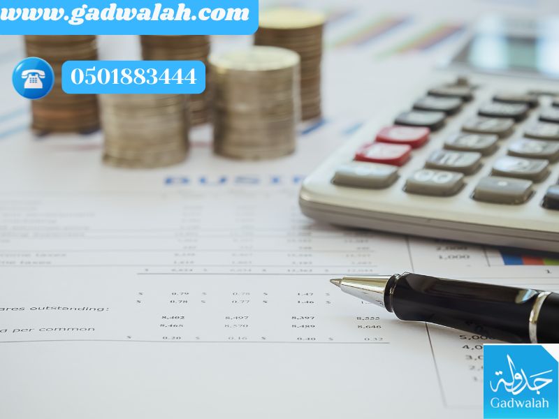 التدقيق الداخلي للقوائم المالية